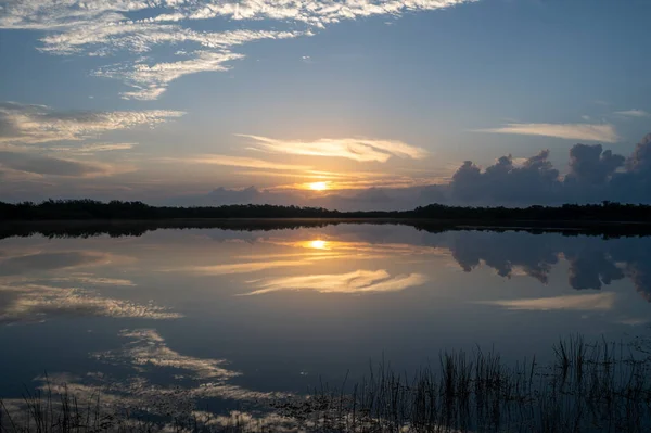 Colorful Sunrise Cloudscape Reflected Calm Water Nine Mile Pond Everglades — Photo