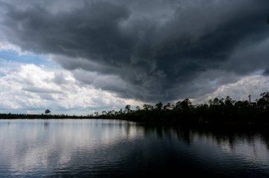 Florida Everglades Ulusal Parkı 'ndaki Pine Glades Gölü üzerinde kara fırtına bulutları ve yağmur oluşuyor..
