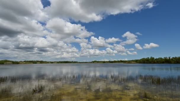 Timelapse Ljusa Sommar Molnlandskap Över Nio Mile Pond Everglades National — Stockvideo