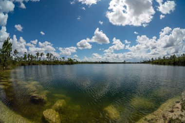 Florida, Everglades Ulusal Parkı 'ndaki Pine Glades Gölü' nün balık gözü manzarası güneşli bir yaz öğleden sonrası..