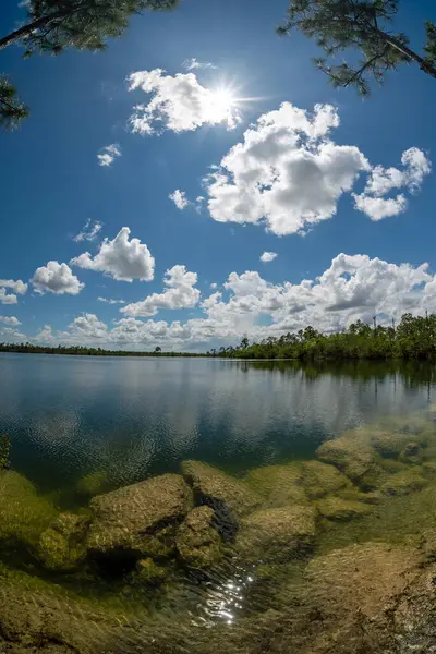 Вид Озеро Пайн Лэйк Национальном Парке Эвербедес Флорида Ясным Солнечным — стоковое фото