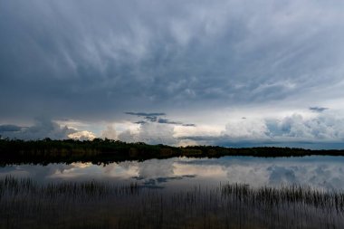 Florida 'daki Everglades Ulusal Parkı' nda kara fırtına bulutları ve yağmur oluşuyor..