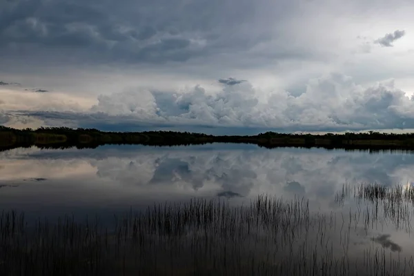 Dunkle Gewitterwolken Und Regen Über Nine Mile Pond Everglades National — Stockfoto