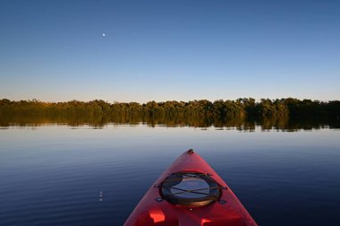 Everglades Ulusal Parkı, Florida 'daki Coot Bay' de kırmızı kano...