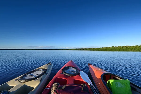Drei Bunte Kajaks Späten Nachmittagslicht Auf Der Coot Bay Everglades — Stockfoto