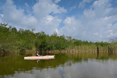 Florida, Everglades Ulusal Parkı 'ndaki Nine Mile Pond' da kayak yapan kadın güneşli bir nisan öğleden sonra..