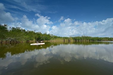 Florida, Everglades Ulusal Parkı 'ndaki Nine Mile Pond' da kayak yapan kadın güneşli bir nisan öğleden sonra..