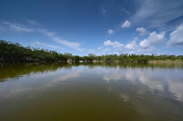 Florida Everglades Ulusal Parkı Ndaki Nine Mile Pond Güneşli Bir — Stok fotoğraf