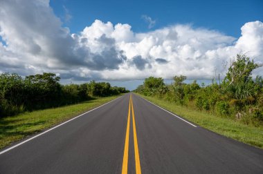 Everglades Ulusal Parkı 'nın ana yolu fırtınalı yaz bulutları altında uzaklaşıyor.