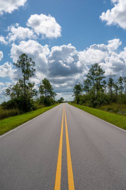 Everglades Ulusal Parkı 'nın ana yolu fırtınalı yaz bulutları altında uzaklaşıyor.