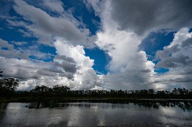 Florida, Everglades Ulusal Parkı 'ndaki Long Pine Key üzerinde fırtınalı yaz bulutları sakin gölet suyuna yansıyor.