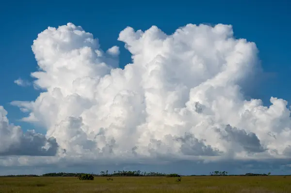 Nubes Cúmulos Blancos Brillantes Que Forman Sobre Pradera Aserrín Parque — Foto de Stock