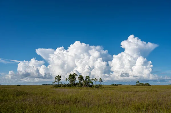 Nubes Cúmulos Blancos Brillantes Que Forman Sobre Pradera Aserrín Parque — Foto de Stock