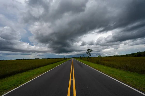 Main Everglades National Park Road Receding Distance Stormy Summer Cloudscape — Stock Photo, Image