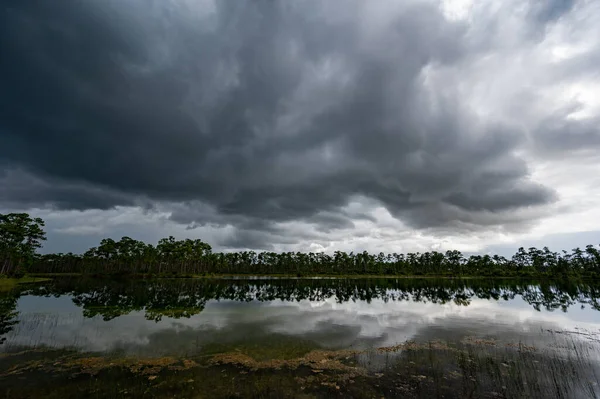 Florida, Everglades Ulusal Parkı 'ndaki Long Pine Key üzerinde fırtınalı yaz bulutları sakin gölet suyuna yansıyor.