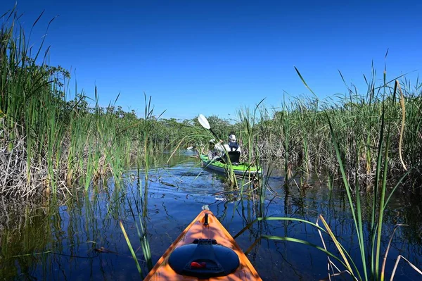 Aktywne Spływy Kajakowe Wśród Wysokich Trzcin Nine Mile Pond Parku — Zdjęcie stockowe