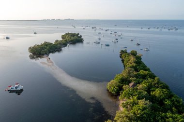 Coconut Grove, Miami, Florida 'da akşam yemeği için demirlemiş teknelerin hava görüntüsü bulutsuz bir yaz sabahında.