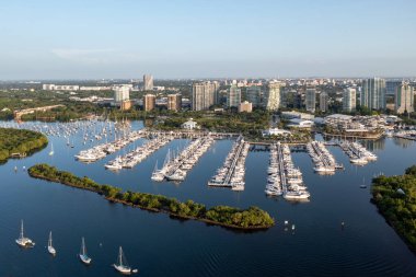 Miami City Hall ve Coconut Grove, Miami 'nin sakin güneşli yaz sabahında arka planda gökyüzü manzarası.