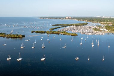Coconut Grove, Miami, Florida 'da akşam yemeği için demirlemiş teknelerin hava görüntüsü bulutsuz bir yaz sabahında.