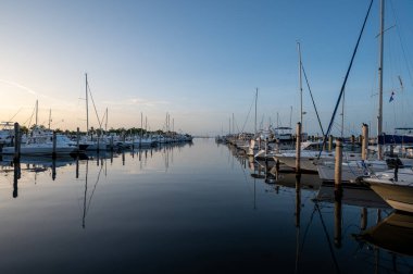Miami, Florida - 8 Temmuz 2023 - Yatlar ve yelkenliler Coconut Grove 'daki Akşam Yemeği Key Marina' ya demirledi..