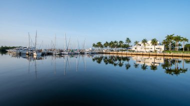Miami, Florida - 8 Temmuz 2023 - Miami Belediye Binası ve tekneler sakin bir yaz sabahı Coconut Grove 'daki Akşam Yemeği Key Marina' ya demirledi.