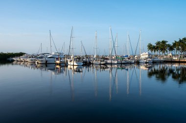 Miami, Florida - 8 Temmuz 2023 - Yatlar ve yelkenliler açık yaz gününde Coconut Grove 'daki Akşam Yemeği Key Marina' ya demirledi.