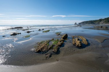 Rocks and tide pools exposed at low tide on Shi Shi Beach and seashore in Olympic National Park, Washington on sunny summer afternoon. clipart