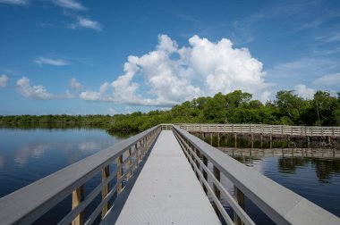 Florida Everglades Ulusal Parkı 'nda, güneşli yaz bulutları altında West Lake Boardwalk.