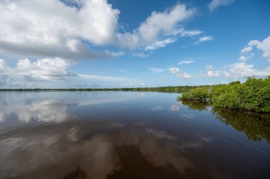 Florida, Everglades Ulusal Parkı 'ndaki Batı Gölü' nün sakin sularına yaz bulutları yansıdı..
