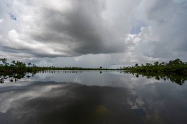 Fırtınalı yaz bulutları, Florida Everglades Ulusal Parkı 'ndaki Pine Glades Gölü' nün sakin sularına yansıdı..