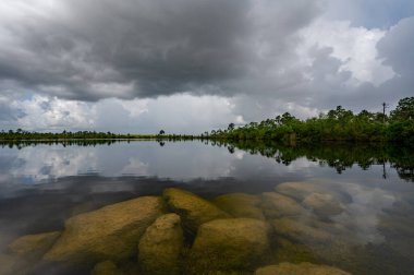 Fırtınalı yaz bulutları, Florida Everglades Ulusal Parkı 'ndaki Pine Glades Gölü' nün sakin sularına yansıdı..