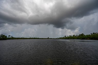 Fırtınalı yaz bulutları, Florida Everglades Ulusal Parkı 'ndaki Pine Glades Gölü' nün sakin sularına yansıdı..