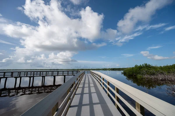 Florida Everglades Ulusal Parkı 'nda, güneşli yaz bulutları altında West Lake Boardwalk.