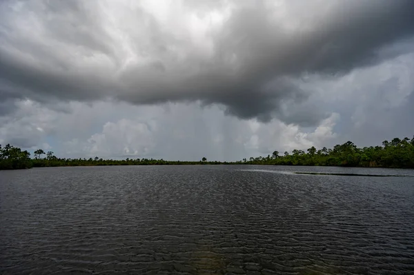 Fırtınalı yaz bulutları, Florida Everglades Ulusal Parkı 'ndaki Pine Glades Gölü' nün sakin sularına yansıdı..