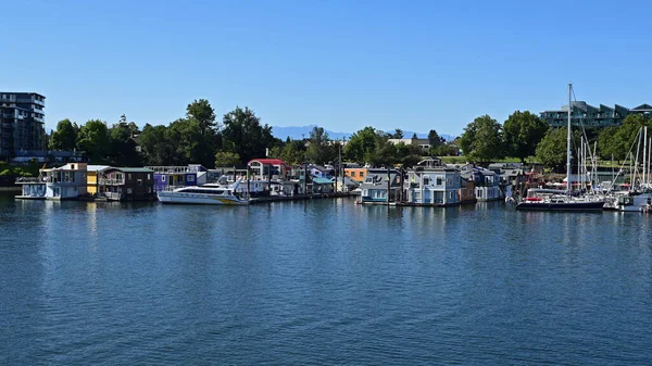 Victoria British Columbia August 2023 Marina Houseboat Community Victoria Harbour — Stock Photo, Image