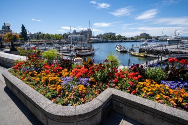 Victoria, British Columbia - 2 Ağustos 2023 - Victoria Limanı sakin güneşli yaz gününde.