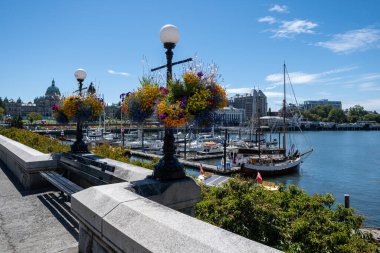 Victoria, British Columbia - 2 Ağustos 2023 - Victoria Limanı sakin güneşli yaz gününde.