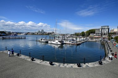Victoria, British Columbia - 2 Ağustos 2023 - Victoria Limanı sakin güneşli yaz gününde.