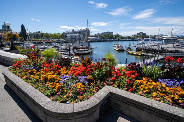 Victoria British Columbia Ağustos 2023 Victoria Limanı Sakin Güneşli Yaz — Stok fotoğraf