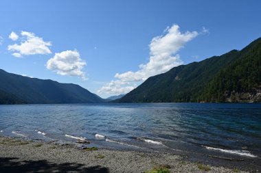 Olimpiyat Ulusal Parkı, Washington 'daki Crescent Gölü' nde sakin bir yaz günü..
