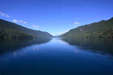Olimpiyat Ulusal Parkı, Washington 'daki Crescent Gölü' nde sakin bir yaz günü..