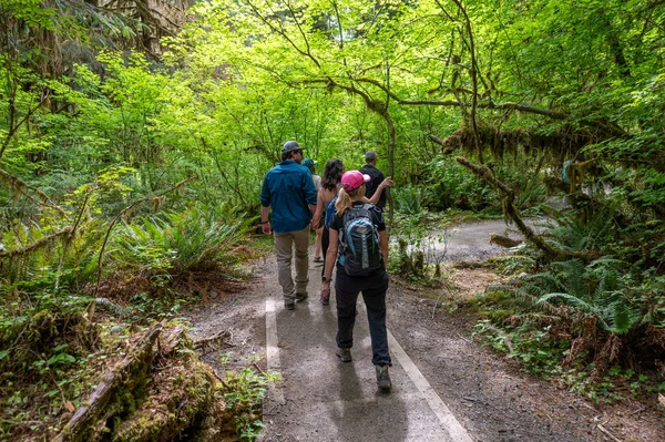 Olympic National Park Washington Juli 2023 Menschen Wandern Hall Mosses — Stockfoto