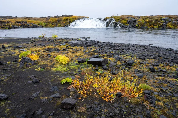 Grafarlandsfoss Pada Pośród Kolorowych Jesiennej Roślinności Czarnych Pól Lawy Drodze — Zdjęcie stockowe
