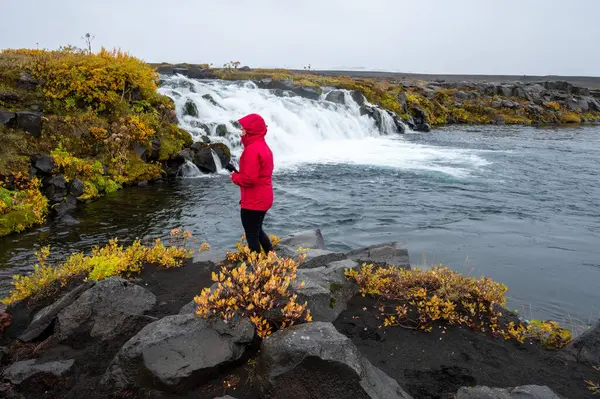 冰岛北部高地五彩缤纷的秋天草木丛中 身穿红色雨衣拍照的妇女掉在地上 — 图库照片