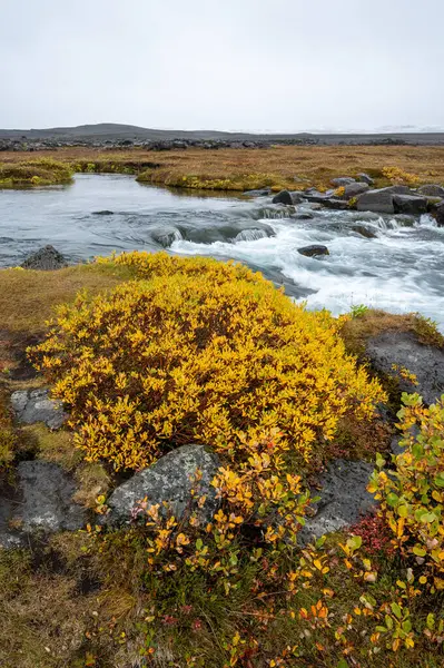 グラーファルランズフォスは 北アイスランドの高地の道路F88のカラフルな秋の植生と黒い溶岩場の間に落ちる — ストック写真