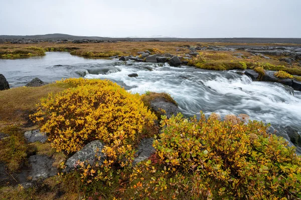 Grafarlandsfoss Πέφτει Μέσα Πολύχρωμη Φθινοπωρινή Βλάστηση Και Μαύρα Πεδία Λάβας — Φωτογραφία Αρχείου