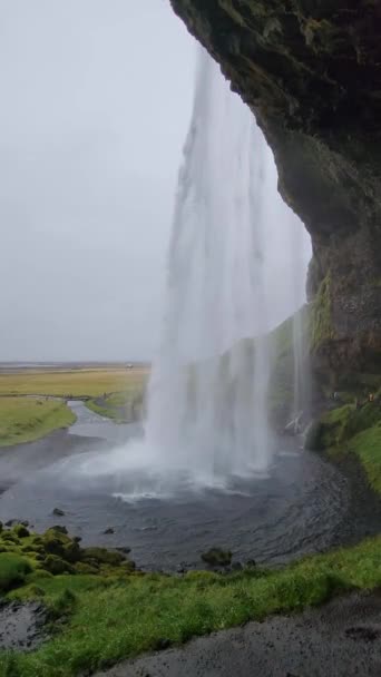 Seljalandsfoss Falls Dans Sud Islande Par Temps Couvert Pluvieux Jour — Video