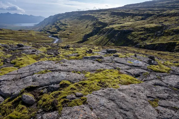 Долина Реки Беруфьярдара Гора Фоссарфелл Трассы 939 Восточной Исландии Солнечным — стоковое фото