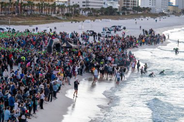 Panama Şehri Plajı, Florida - 4 Kasım 2023 2023 Demir Adam Yarışması 'nın başında plajda seyirci ve atletler.