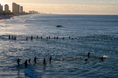 Panama City Beach, Florida - 4 Kasım 2023 Ironman yarışmacıları güneşli bir sonbahar sabahı 2023 yüzme bölümü için okyanusa girdiler..